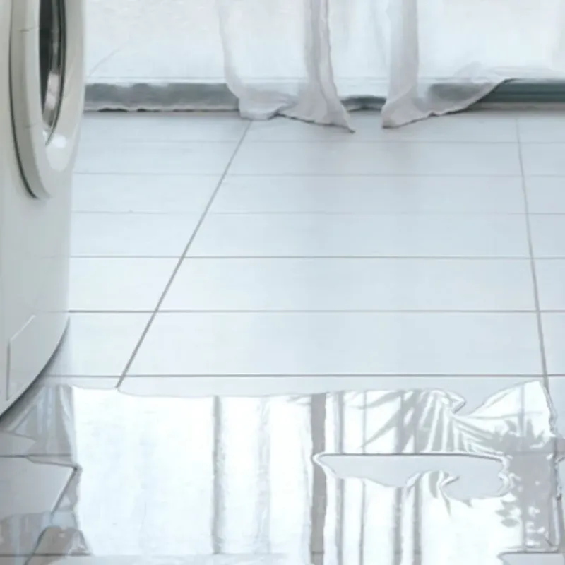 Appliance Leak Cleanup in Green Lake, WI
