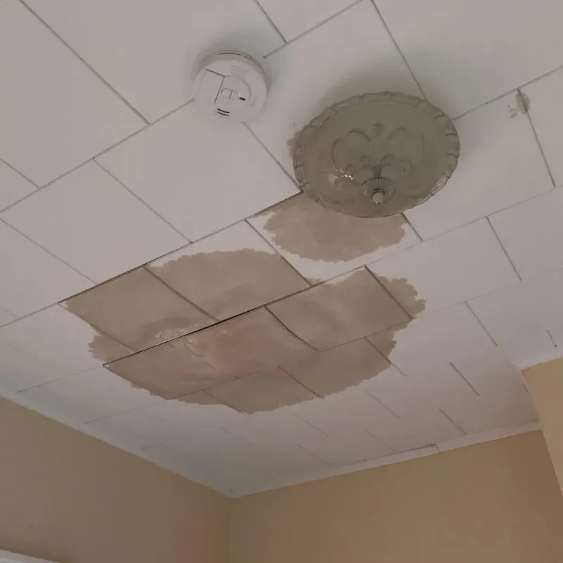 Ceiling Water Damage Repair in Green Lake, WI