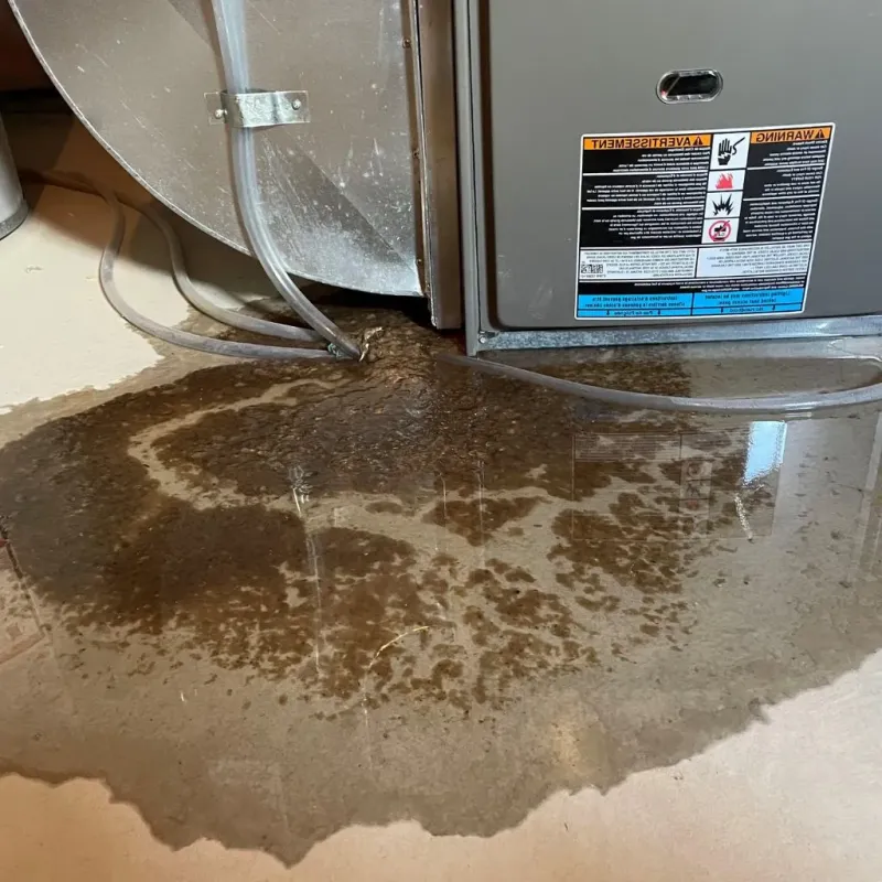 Pipe Burst and Leak Restoration in Green Lake, WI