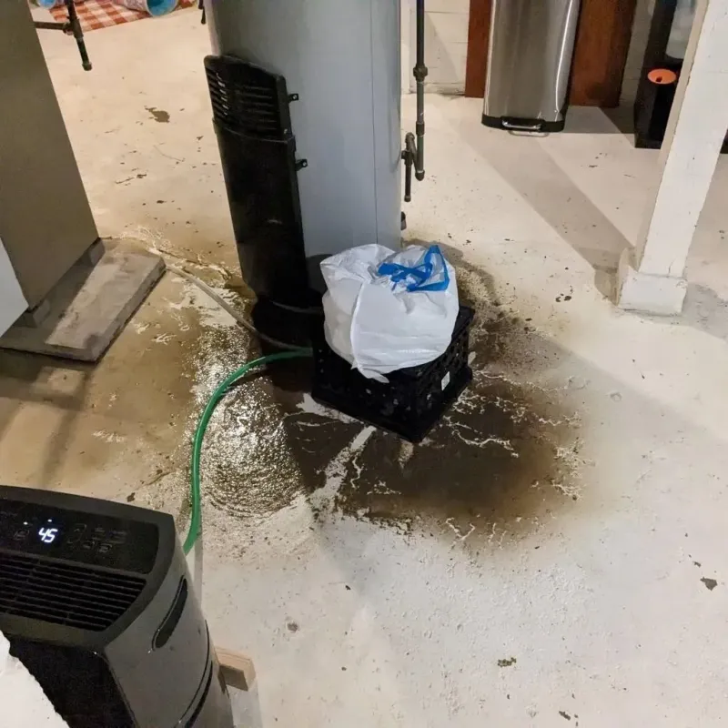 Sewage Backup Cleanup Service in Green Lake, WI